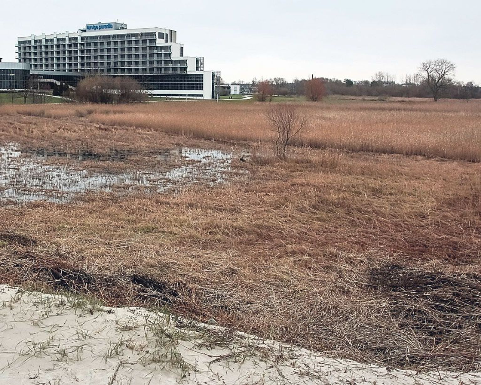 Tervise Paradiisi ja mere vahele kerkib järgmise aasta rannahooaja alguseks üle poole kilomeetri pikk matkarada ühes kahetasandilise vaateplatvormiga.