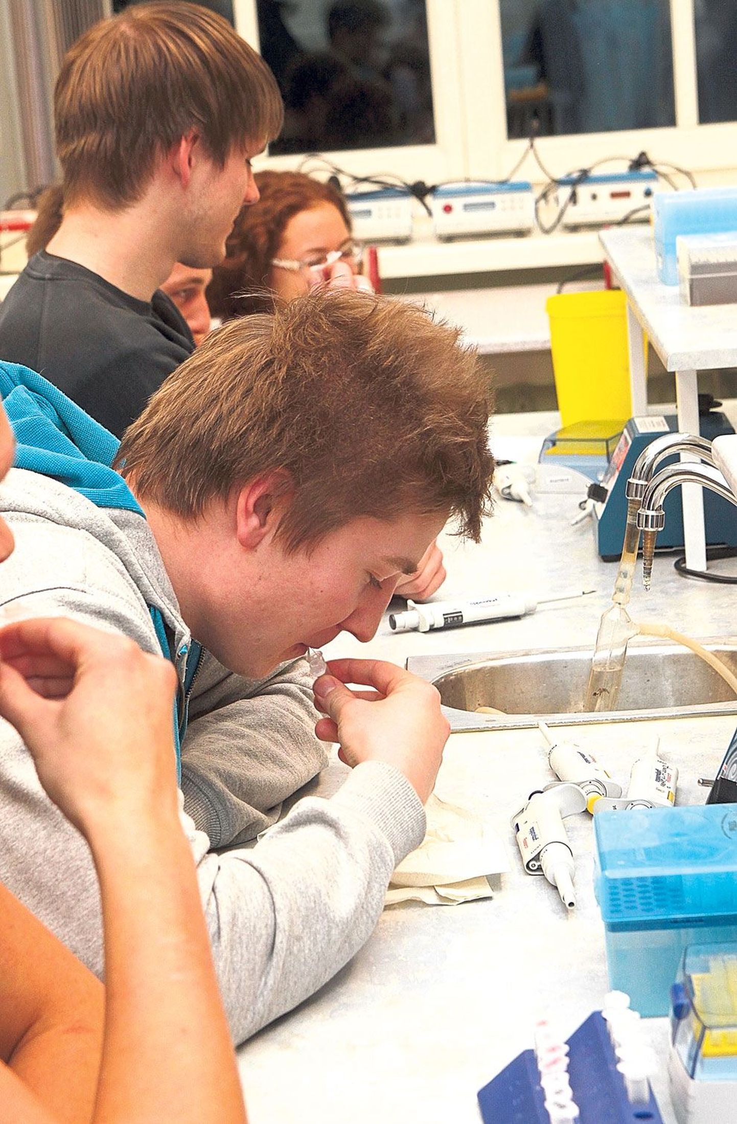 See oli Tamme gümnaasiumi 12. klassi õpilaste, teiste hulgas ka Taavi Freivaldi (pildil), esimese biotehnoloogia praktikumi esimene ülesanne.