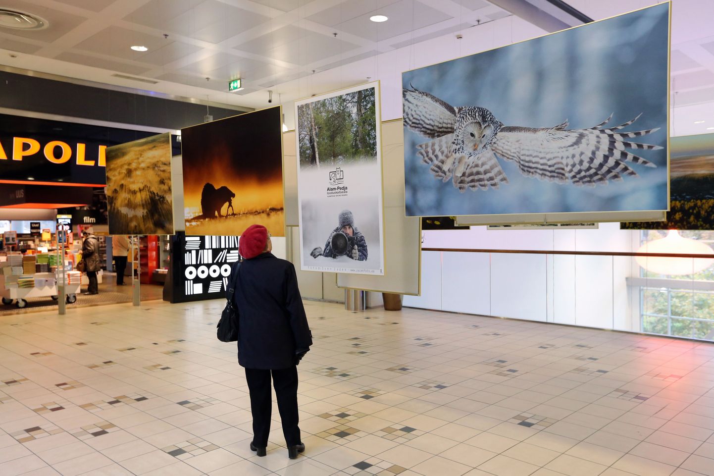 Tartu kaubamajas võib vaadata Sven Začeki loodusfotode näitust "Alam-Pedja looduskaitseala 20".