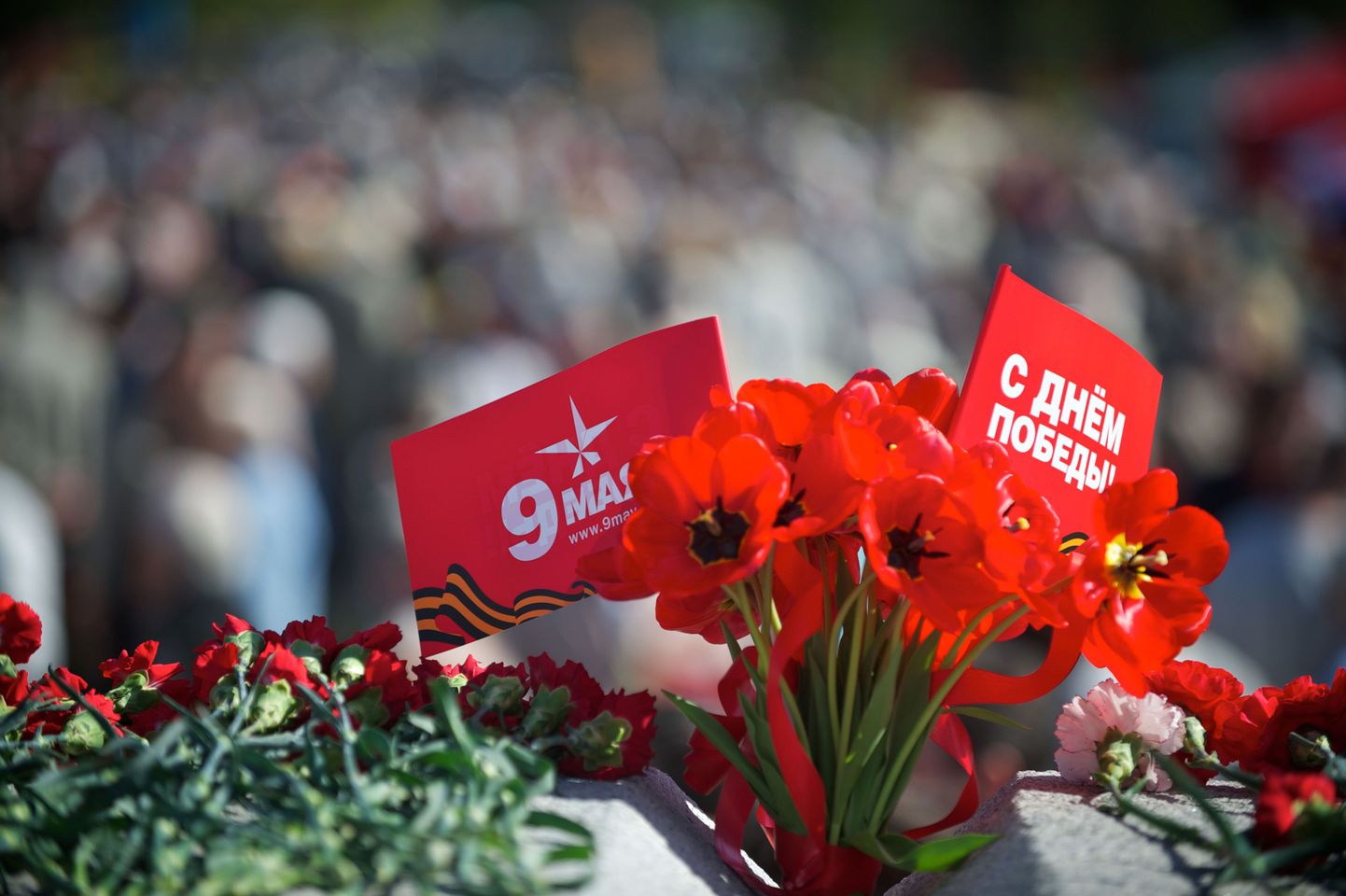 Võidupüha puhul Riias Teise maailasõja monumendi juurde toodud lilled.