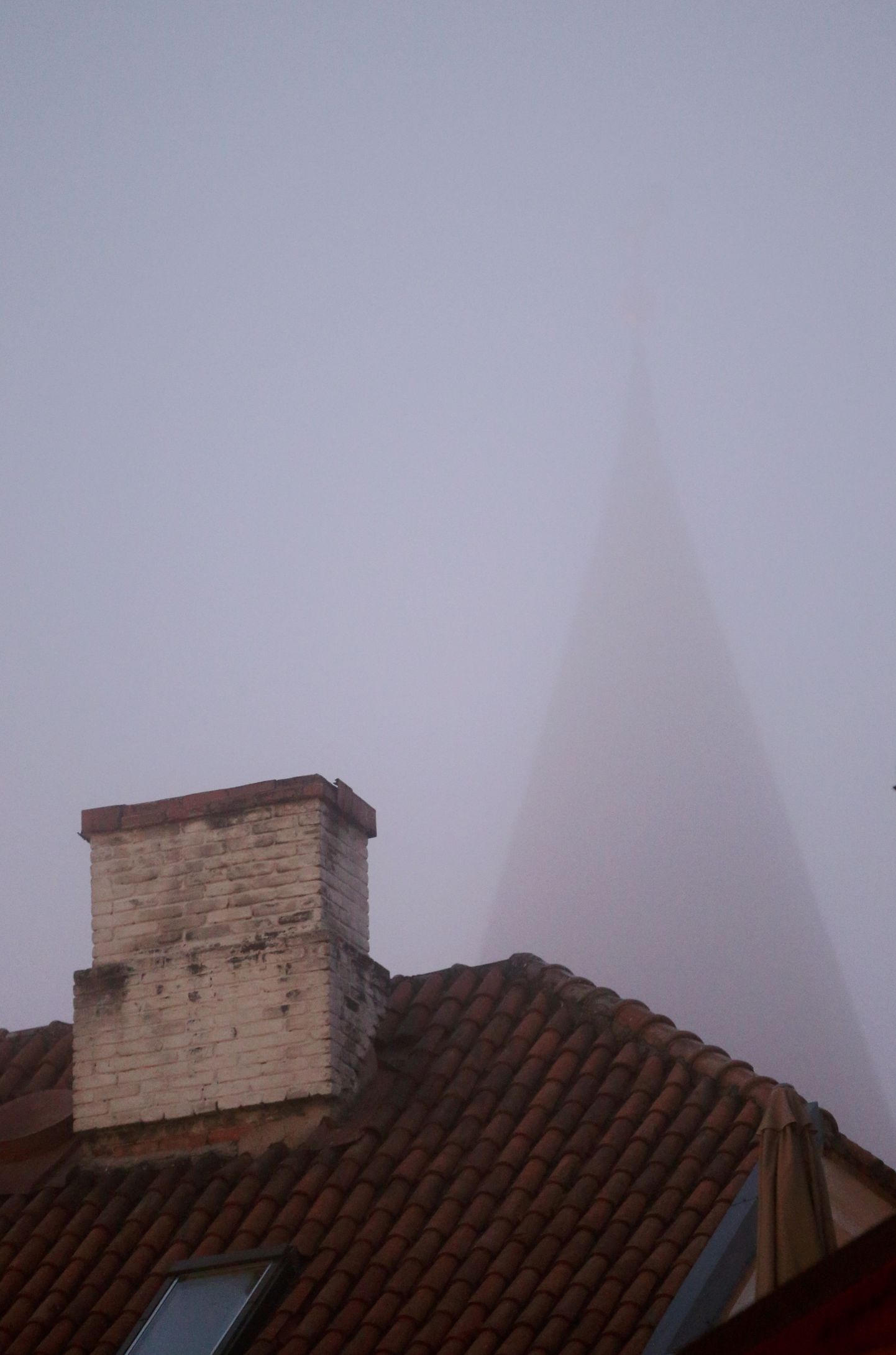 Туман в Тарту.