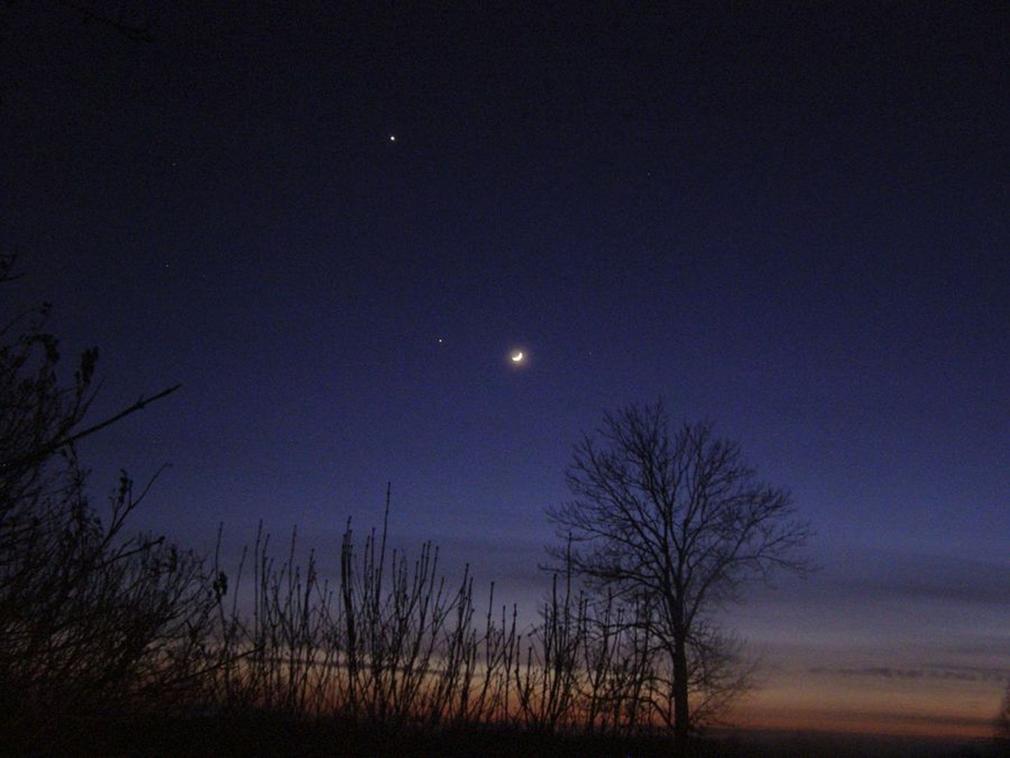Taevakehad on fotole jäädvustatud 25. märtsil kell 20 Vooremaal Raigastveres. Ülal särab eredamalt Veenus, kuusirbi läheduses helgib tuhmim Jupiter.