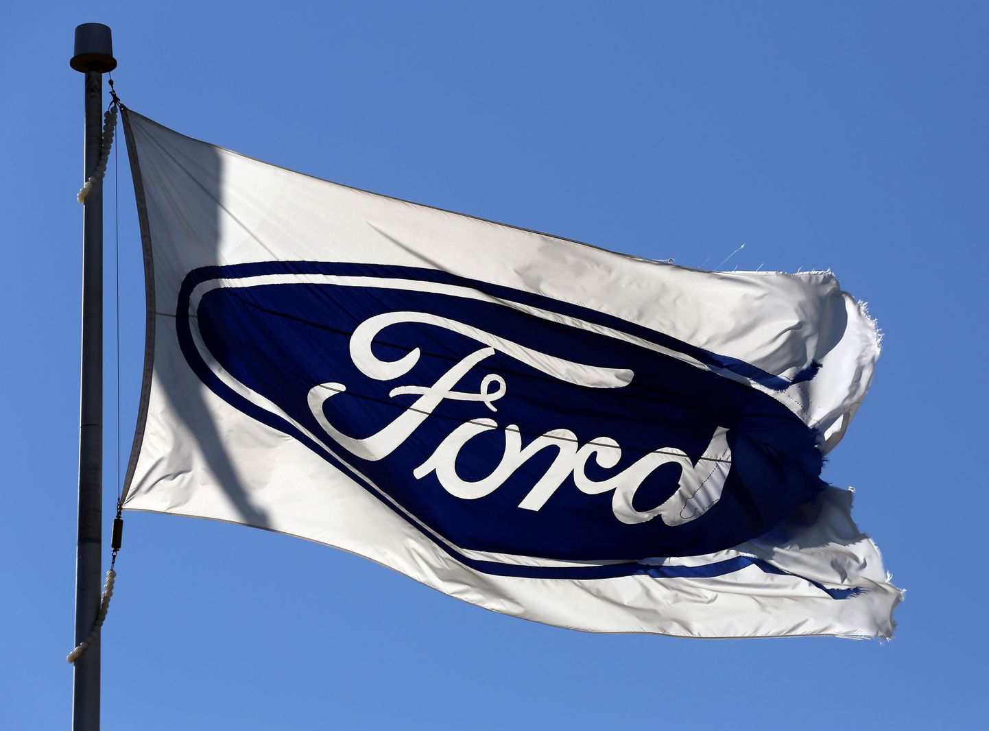 Ford Motori lipp.