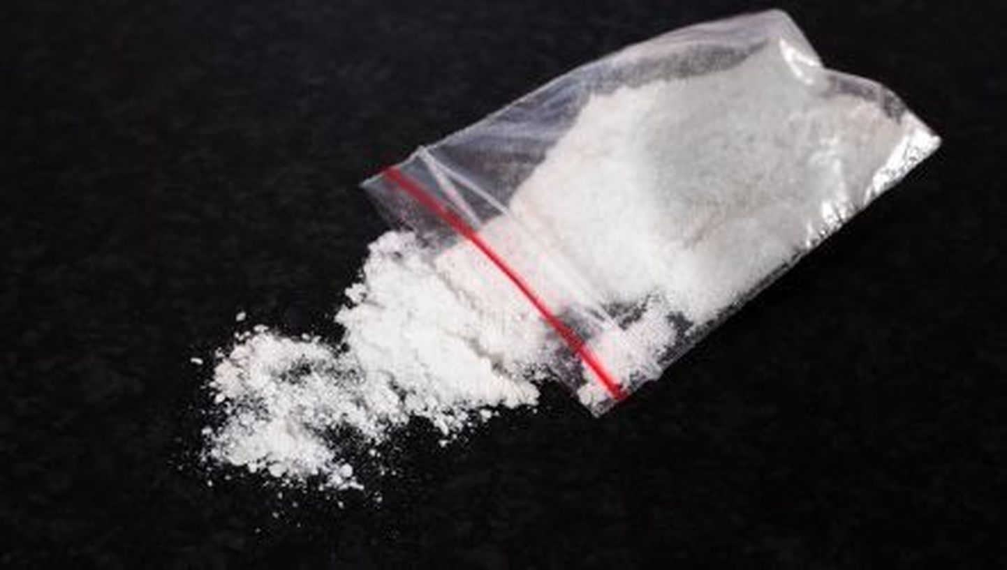 Terrorismiõpiku vahelt paljastus kokaiinipakk