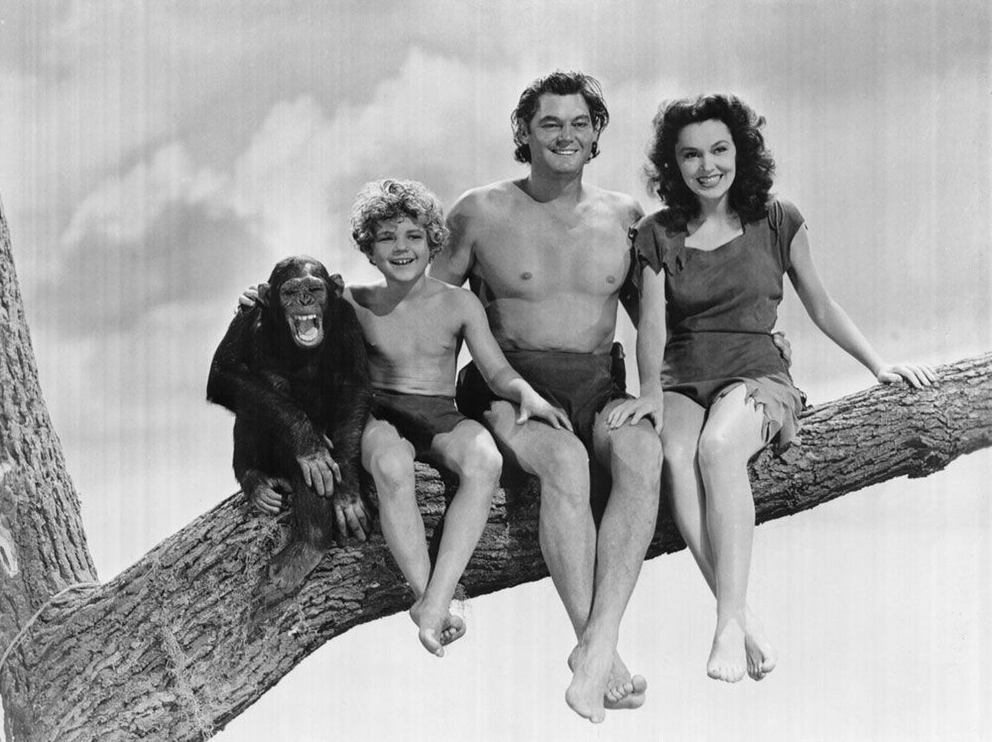 Kuulsaim filmi-džunglipere 
(1939–1942): šimpans Cheetah, Poiss (Johnny Sheffeld), 
Tarzan (Johnny Weissmüller) 
ja Jane (Maureen O’Sullivan).