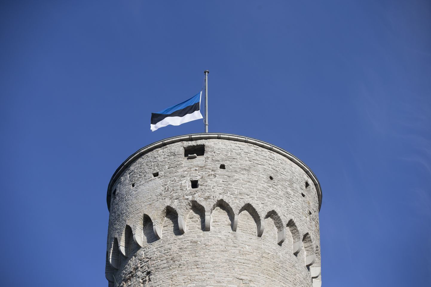 Eesti lipu pidulik heiskamine Pika Hermanni tornis.