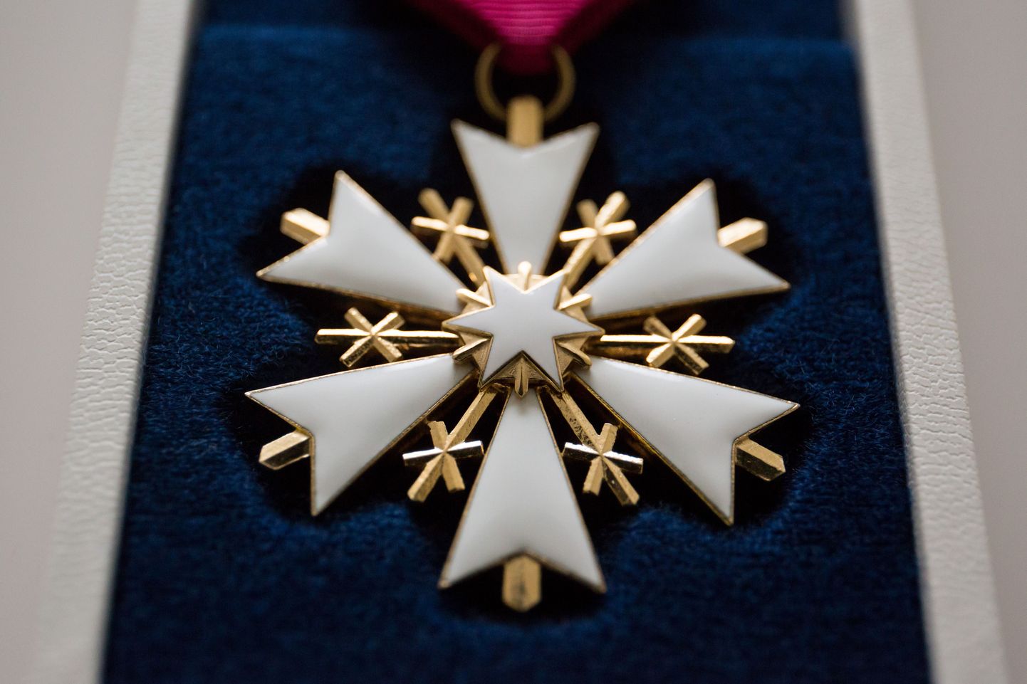 Орден Белой звезды IV степени.