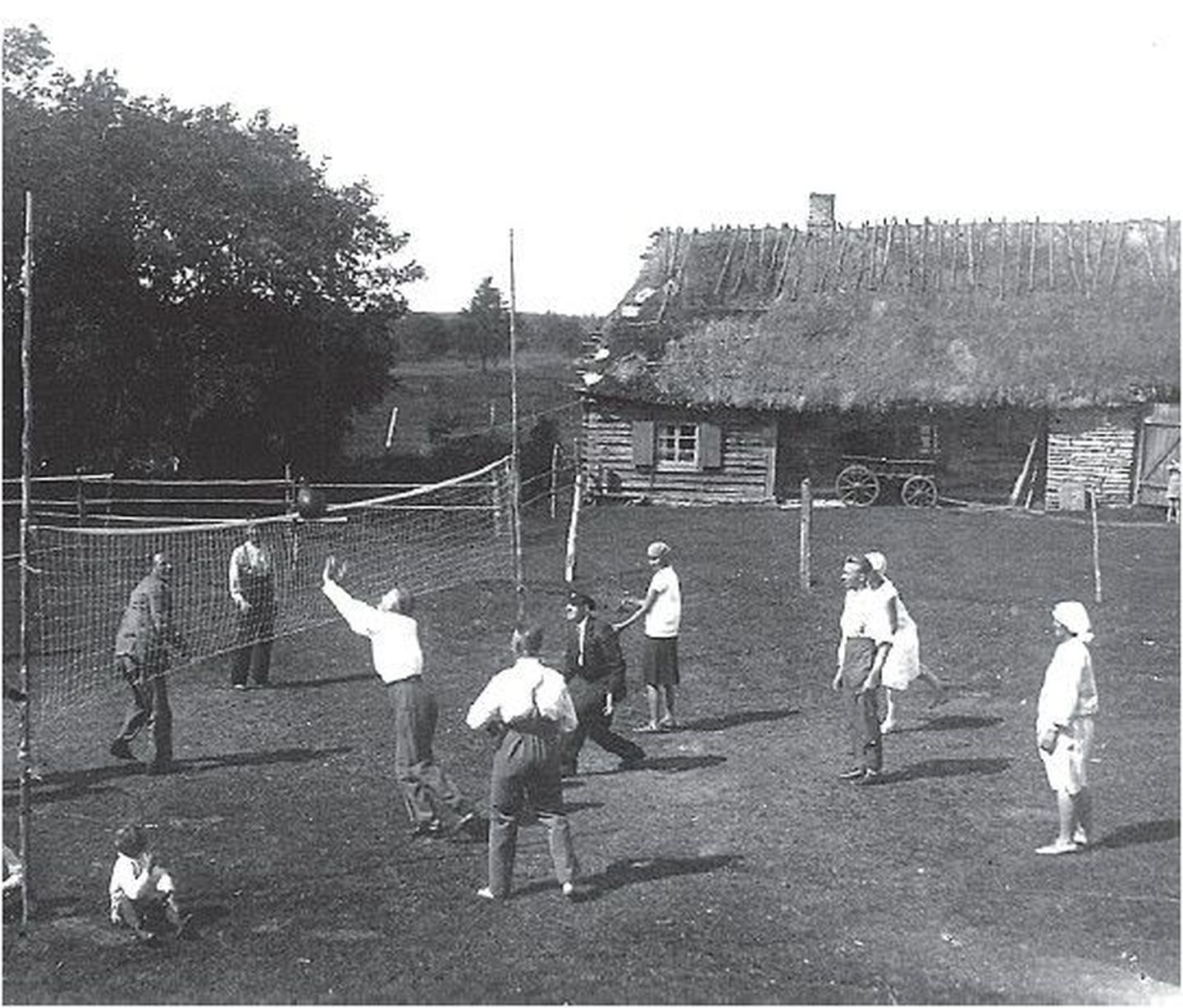 Lepiku küla noored Tindi talu elumaja juures 1930. aastatel võrkpalli mängimas.