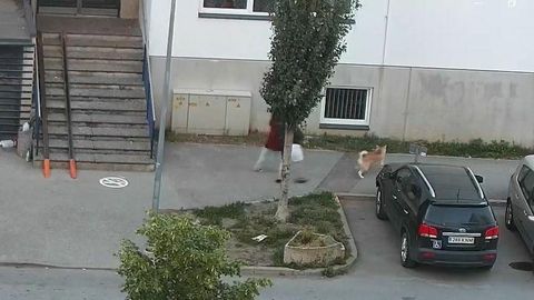 ����� ������ � ��������: ��� ������ ��������� �� ��� �����?�