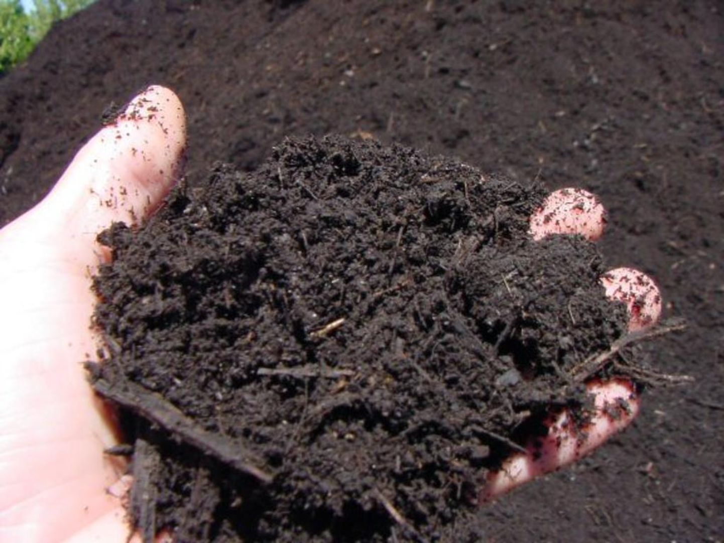 Hea kompost on sõmer, tumepruun ja sarnaneb läbikõdunenud sõnnikuga.
