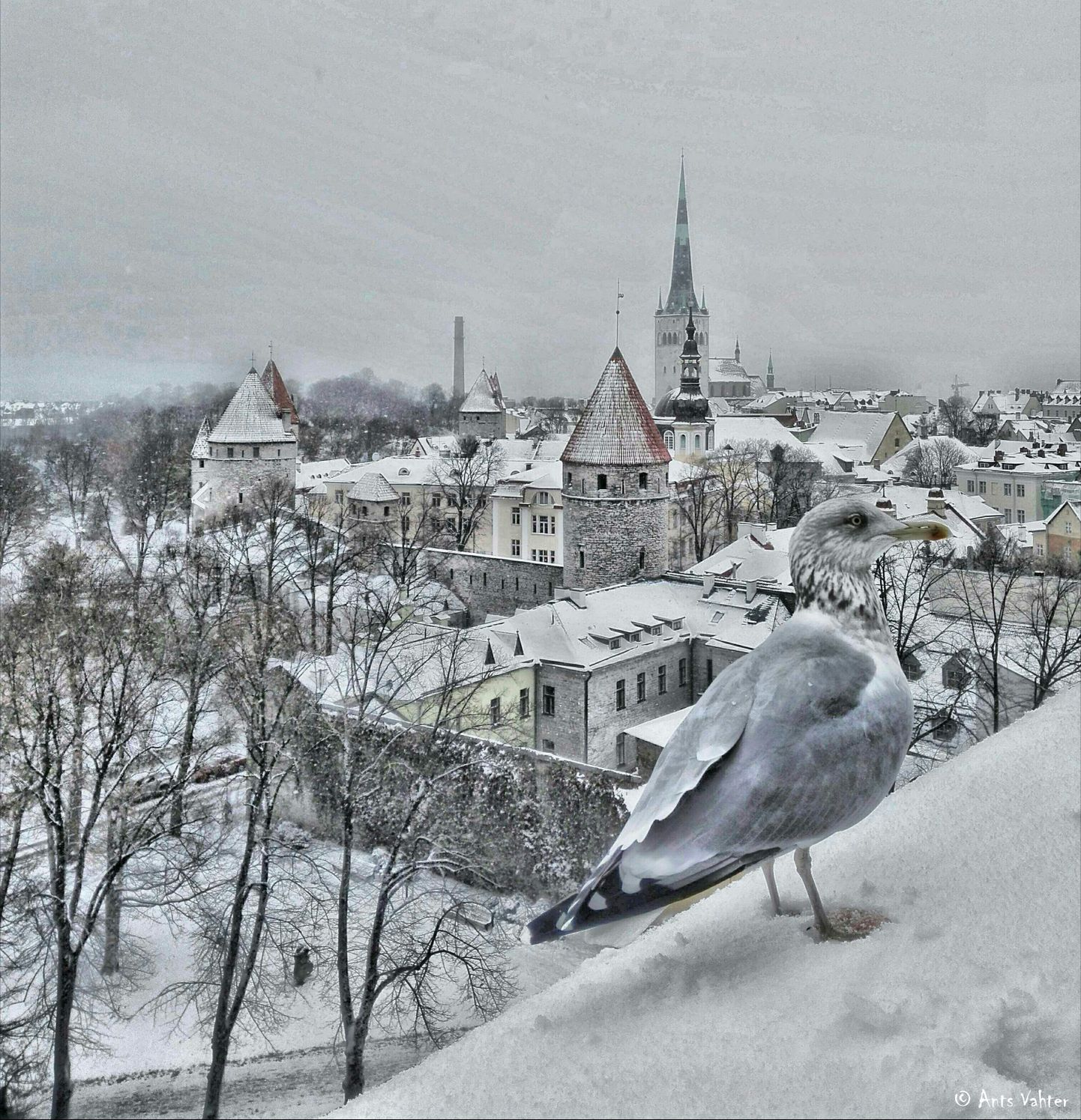 Talvine Tallinn...