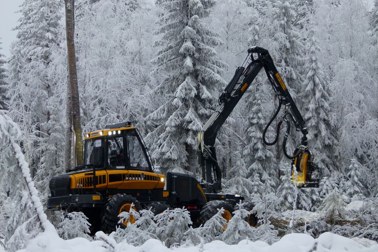 Eesti metsamasinameeste unistus – päris talv. Pilt on tehtud Soomes ühel metsamasinate esitluspäeval.