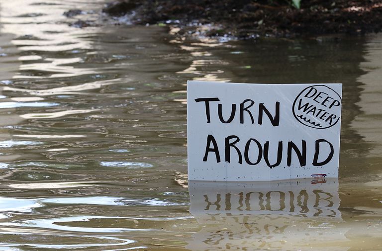 Texase üleujutusalal vajavad lisaks inimestele päästmist ka loomad