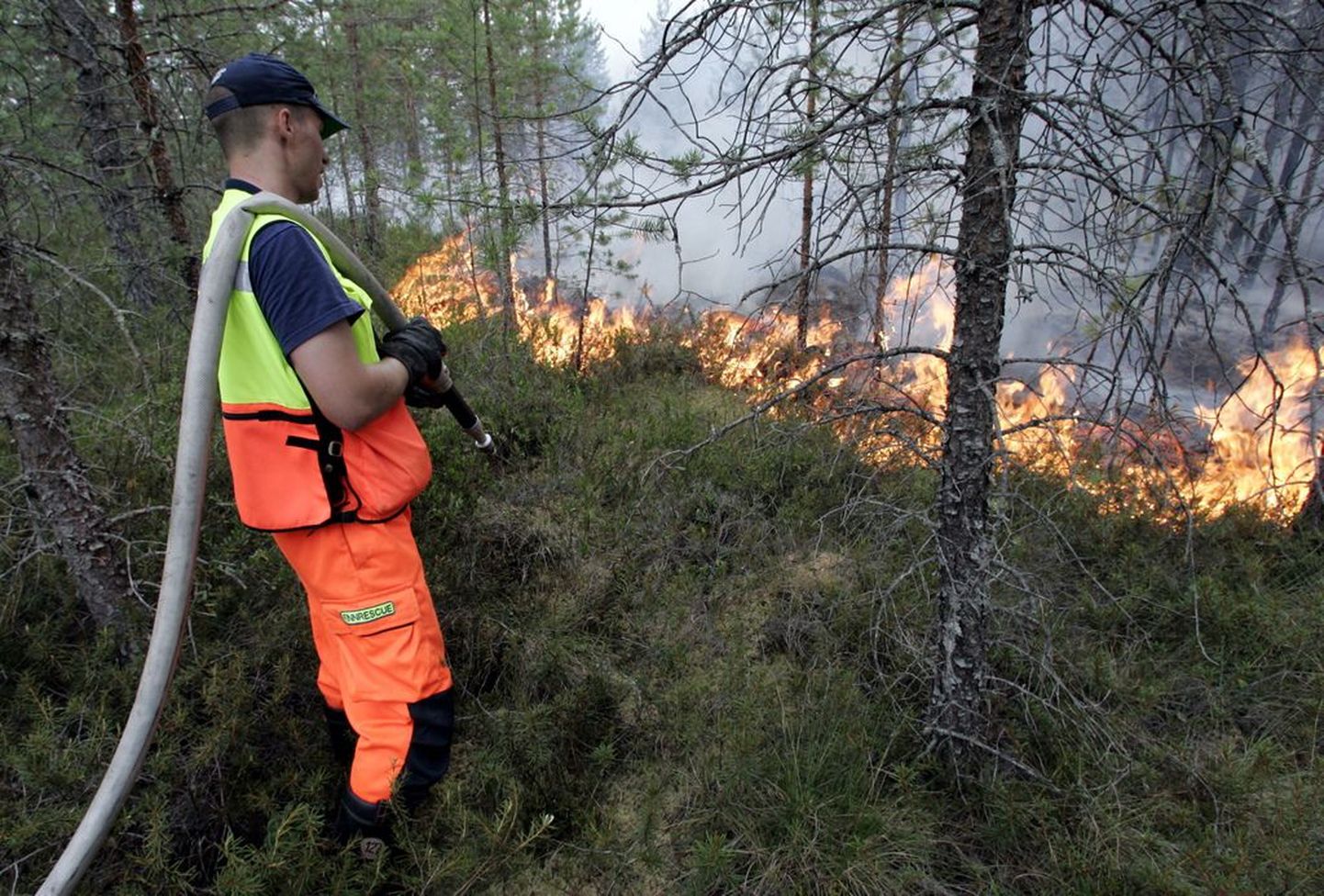 Лесной пожар в Иллука.