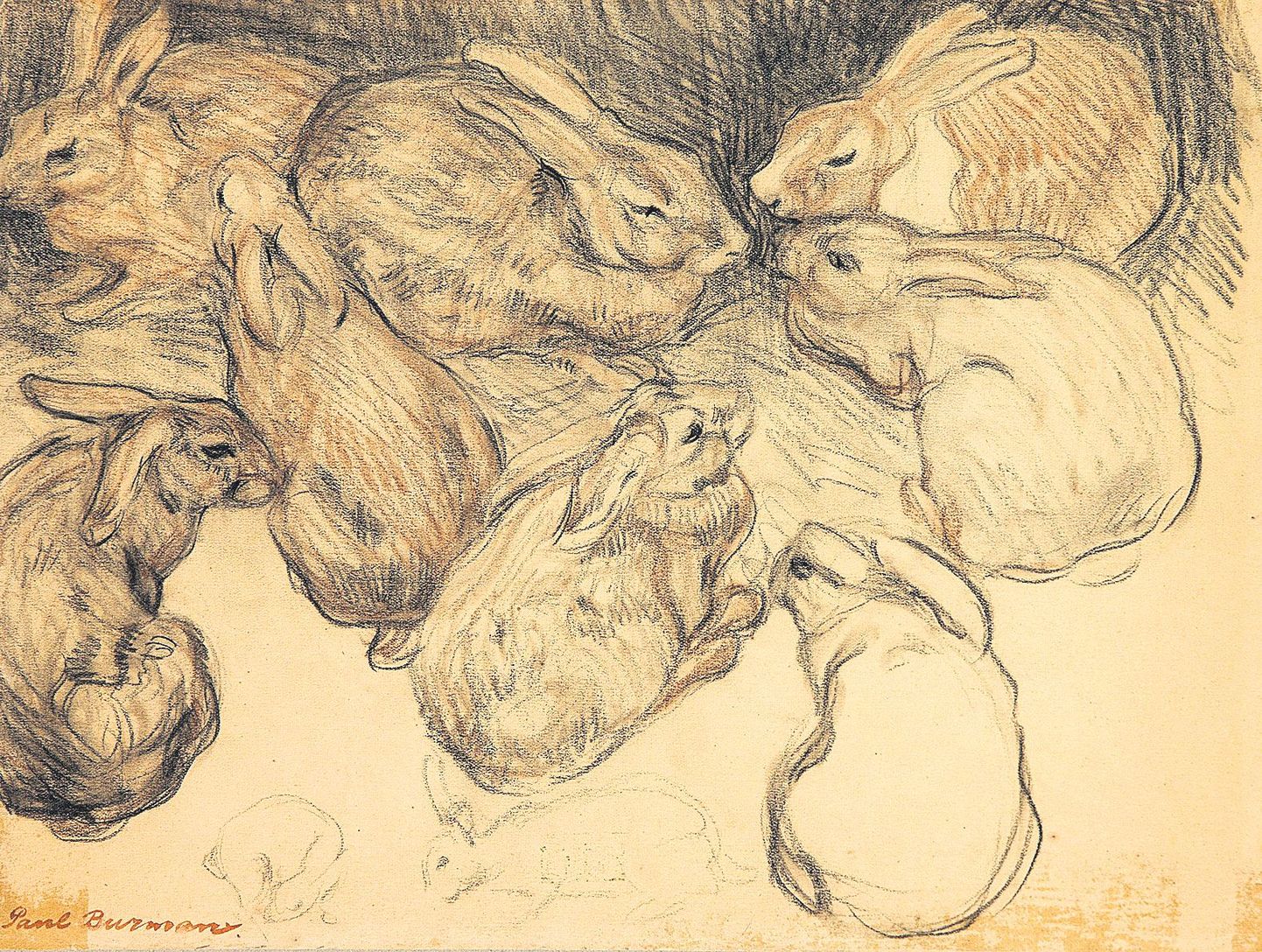 Paul Burman, «Küülikud», värviline pliiats, süsi, paber (24 x 31,6).