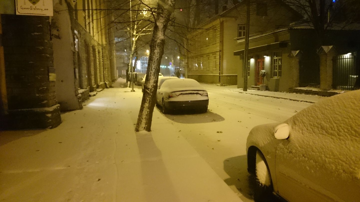 В Таллинне выпал снег.