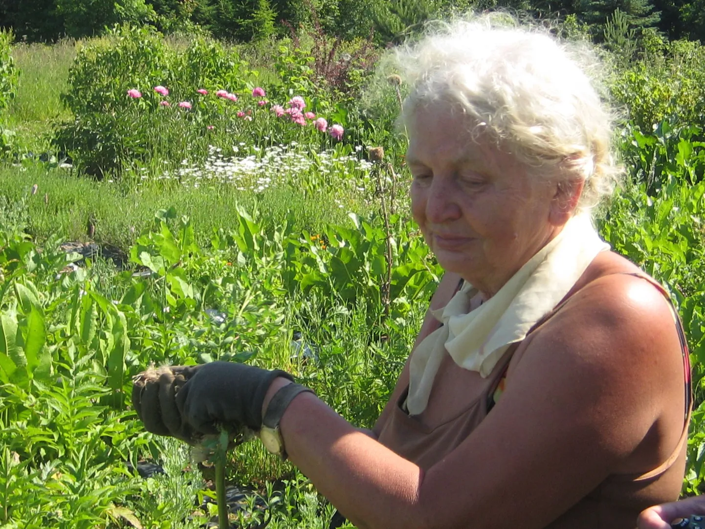 Сначала Полина Пилипенко подружилась с растениями, а уж потом они помогли ей подружиться с людьми.