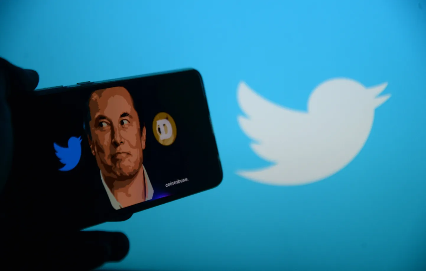 Elon Musk ja Twitter.