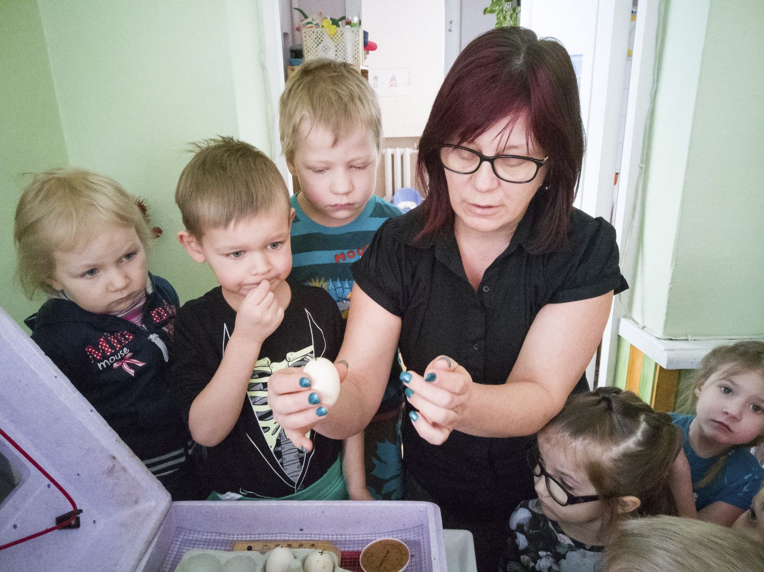 Õpetaja Heidi Jakobsoni juhendamisel seati munad inkubaatorisse, peagi piiksusid lasteaias juba pehmed sulepallid.