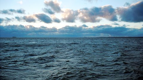 Сильный ветер поднимет в Балтийском море волны до 3,5 метров