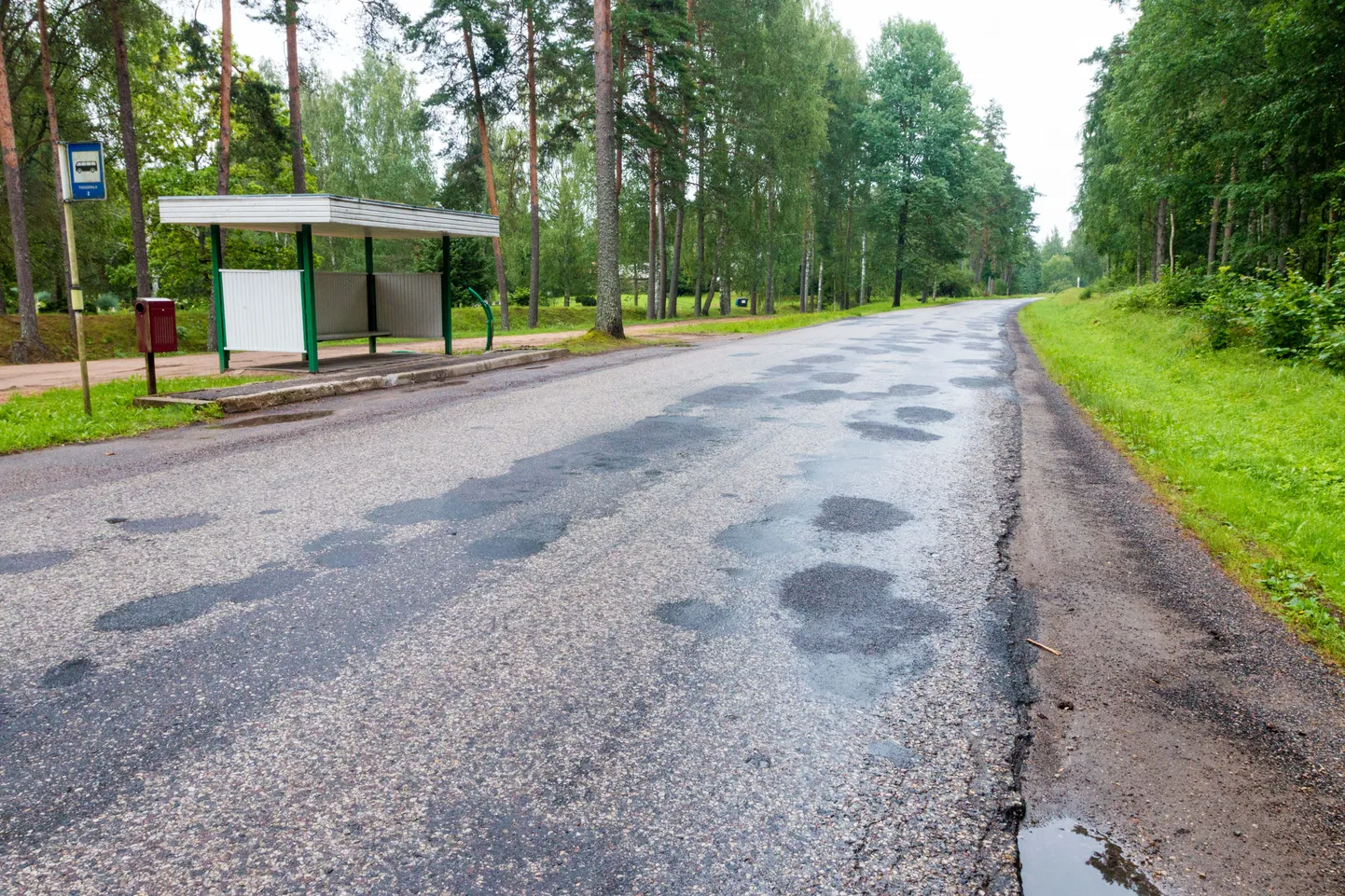 Bussipeatus Valga-Võru maanteel. Foto on illustreeriv.