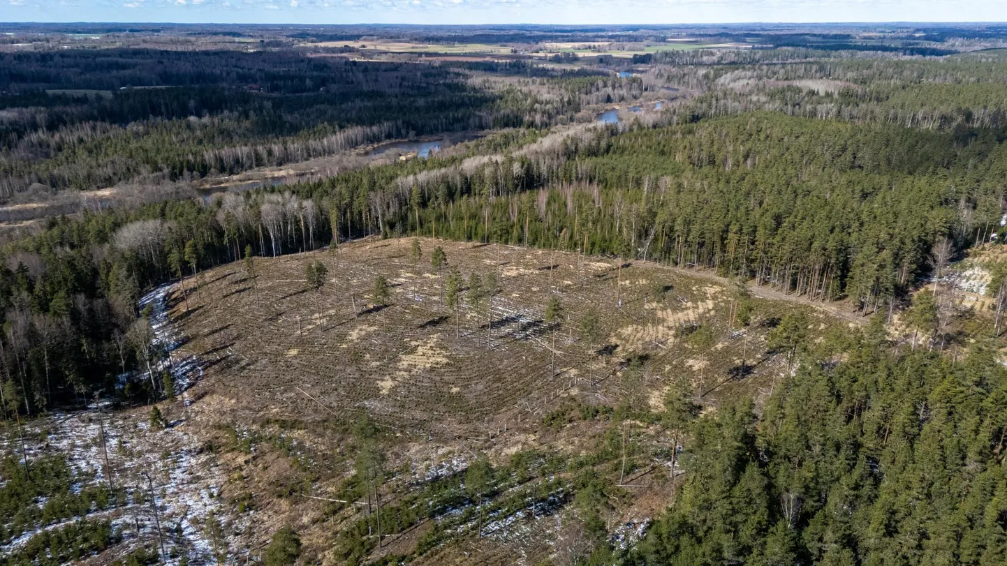 Uniküla ümbrusse Valgamaal kavandatakse Herro tuuleparki.