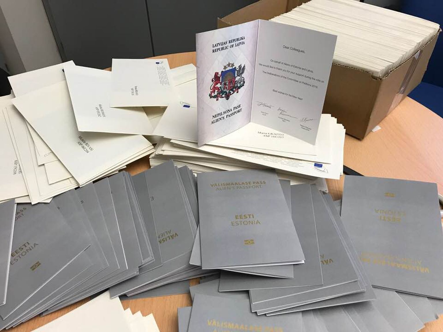 Депутаты Европарламента получат серые паспорта.