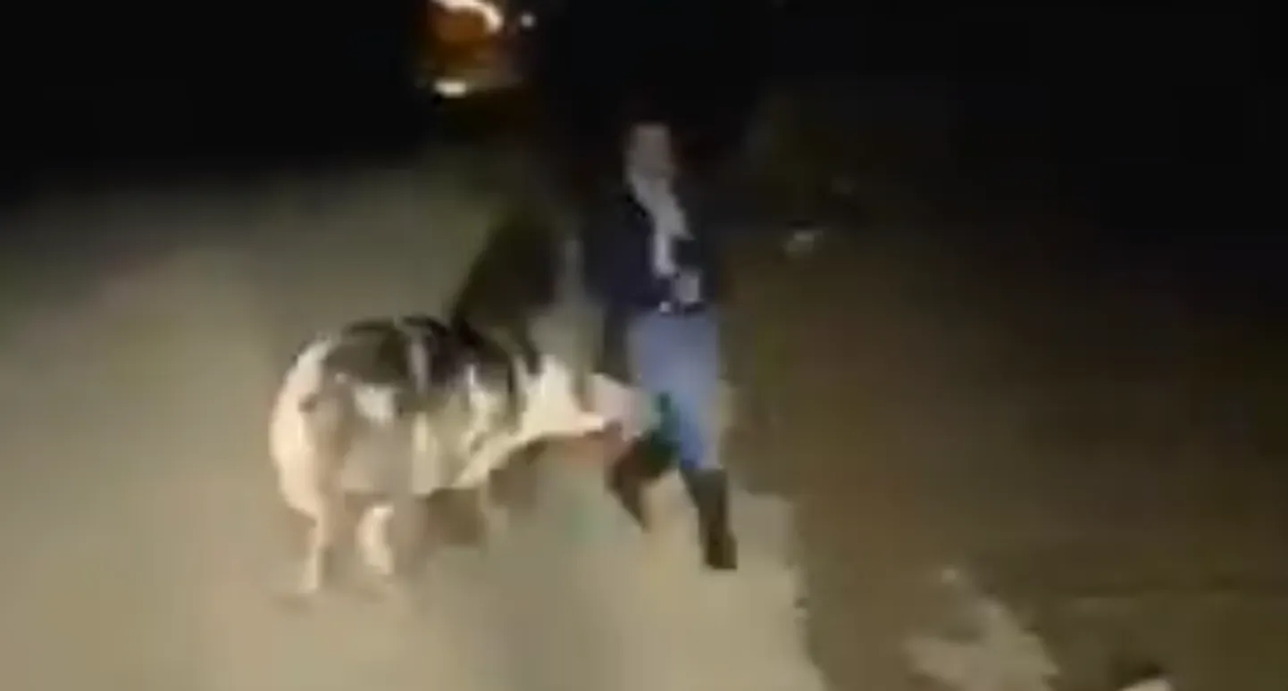 Raksta foto