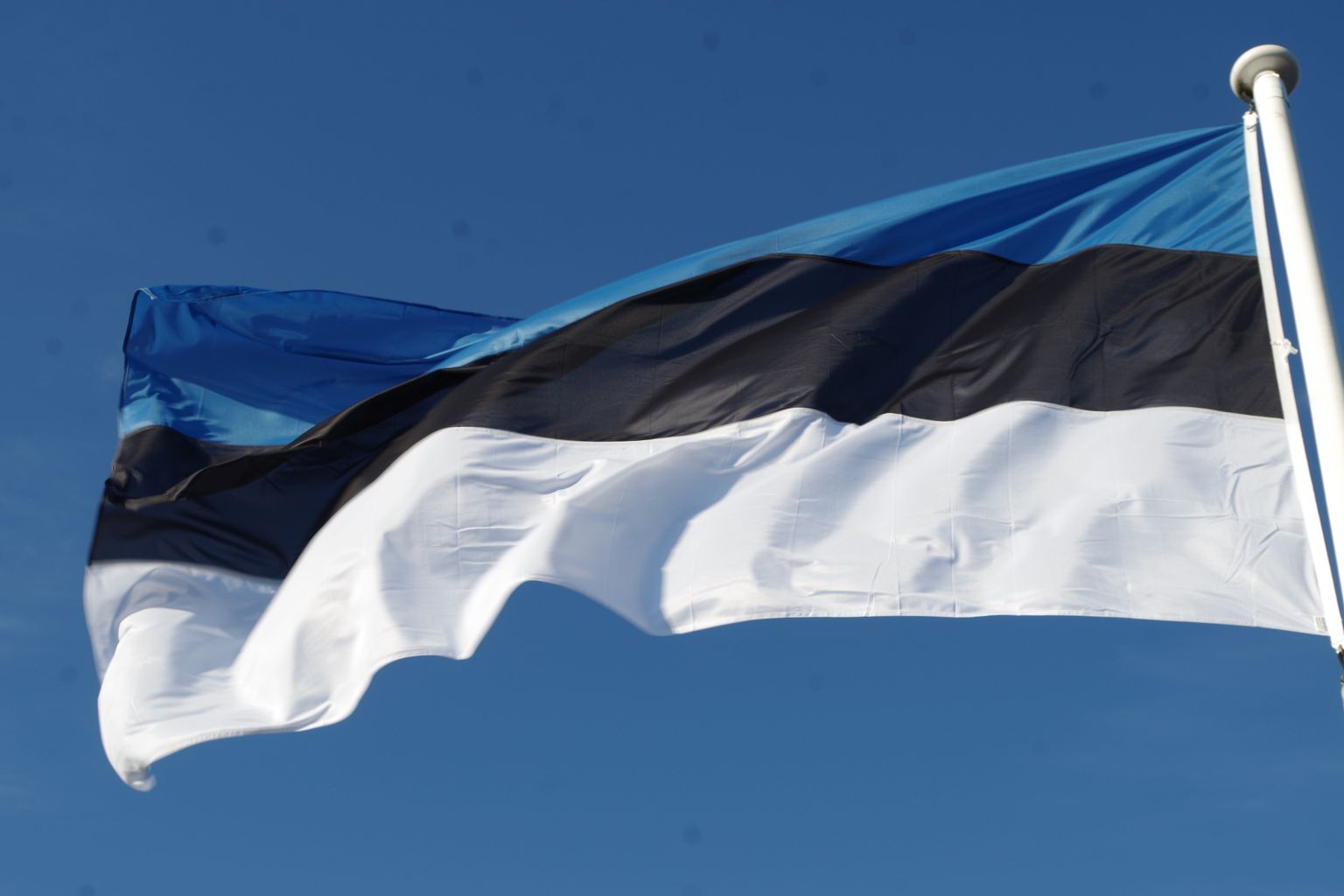 Эстонский флаг.