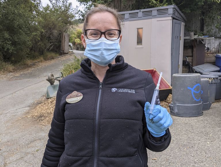 Loomad vaktsineerinud Oaklandi loomaaia veterinaar Monica Fox.