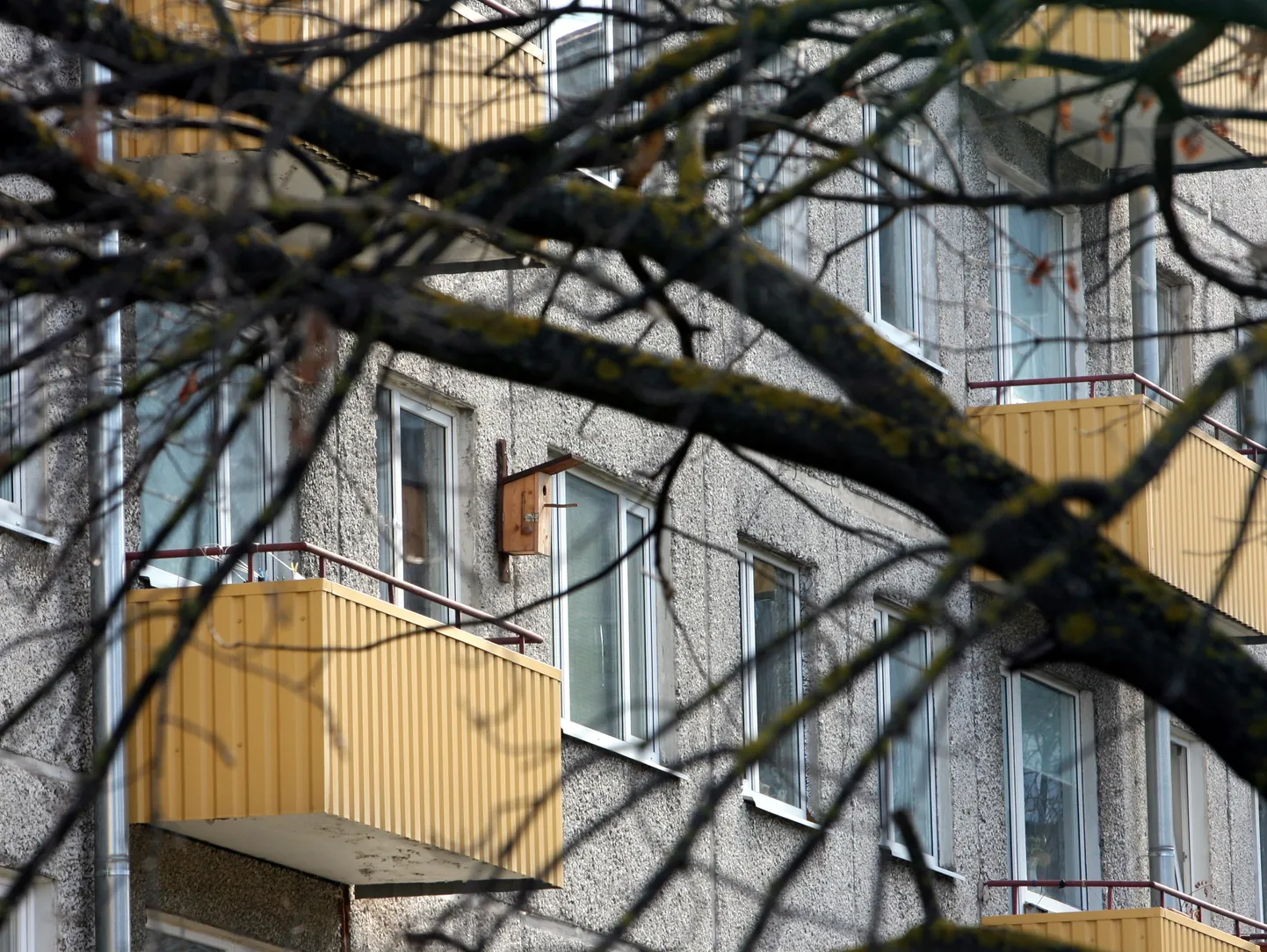 Панельный дом.