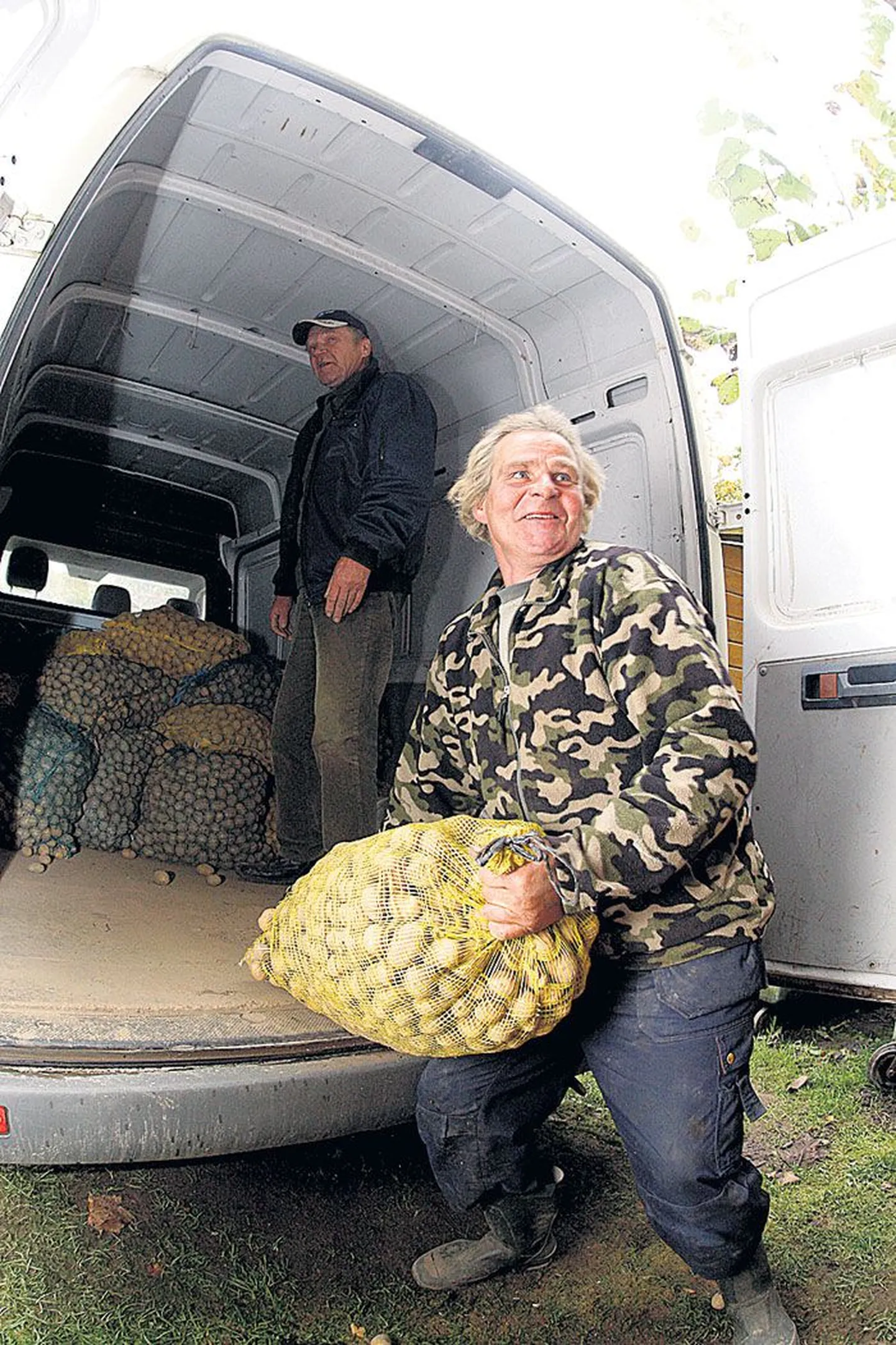 Tartumaal Melliste lähedal Võõpstes Kivi talu 
pidav Ilmar Peedo (väikebussis) ja ta abiline Kalev Ju­­hanson tõid eile Elistvere loomapargi elanikele kingiks ligi tonni kartulit.