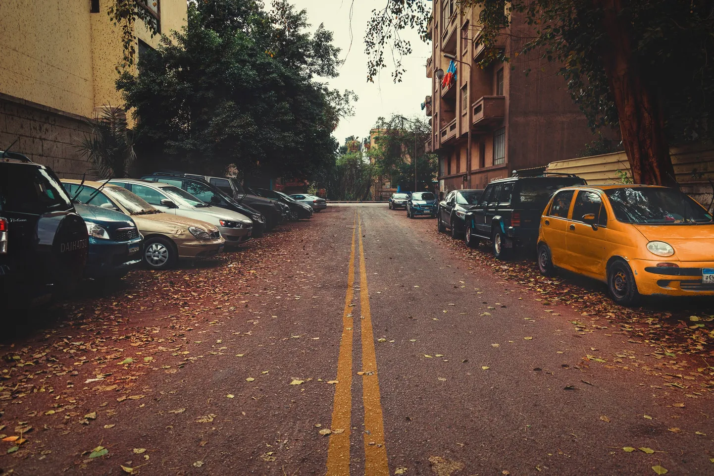 Artikli foto