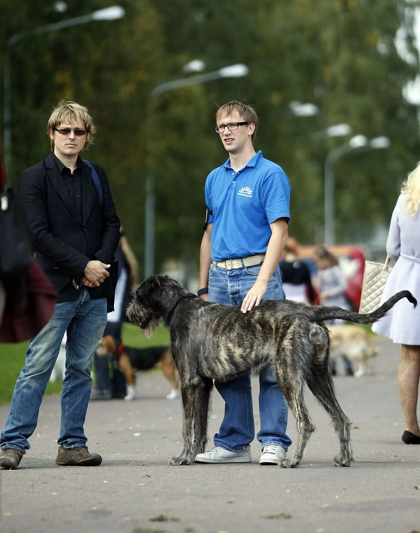 Märt Agu ja Peeter Rebane 12.09.2009 Tallinna lauluväljakul toimunud Rahvuslikul Koertenäitusel koos oma Iiri hundikoeraga