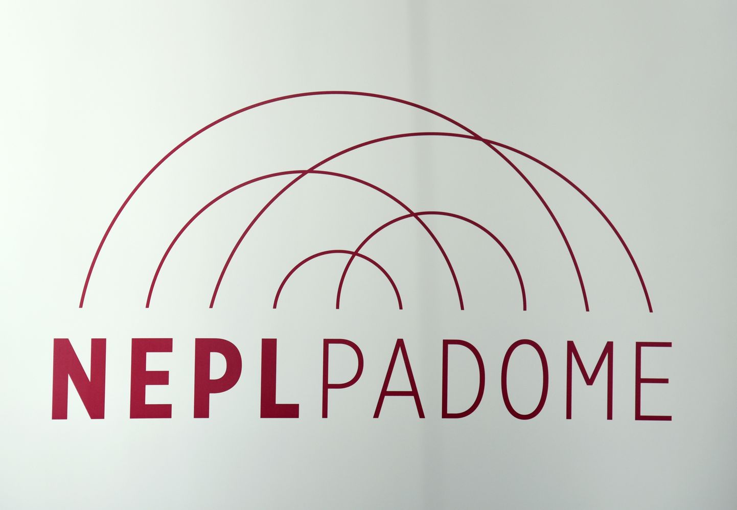 Логотип NEPLP.