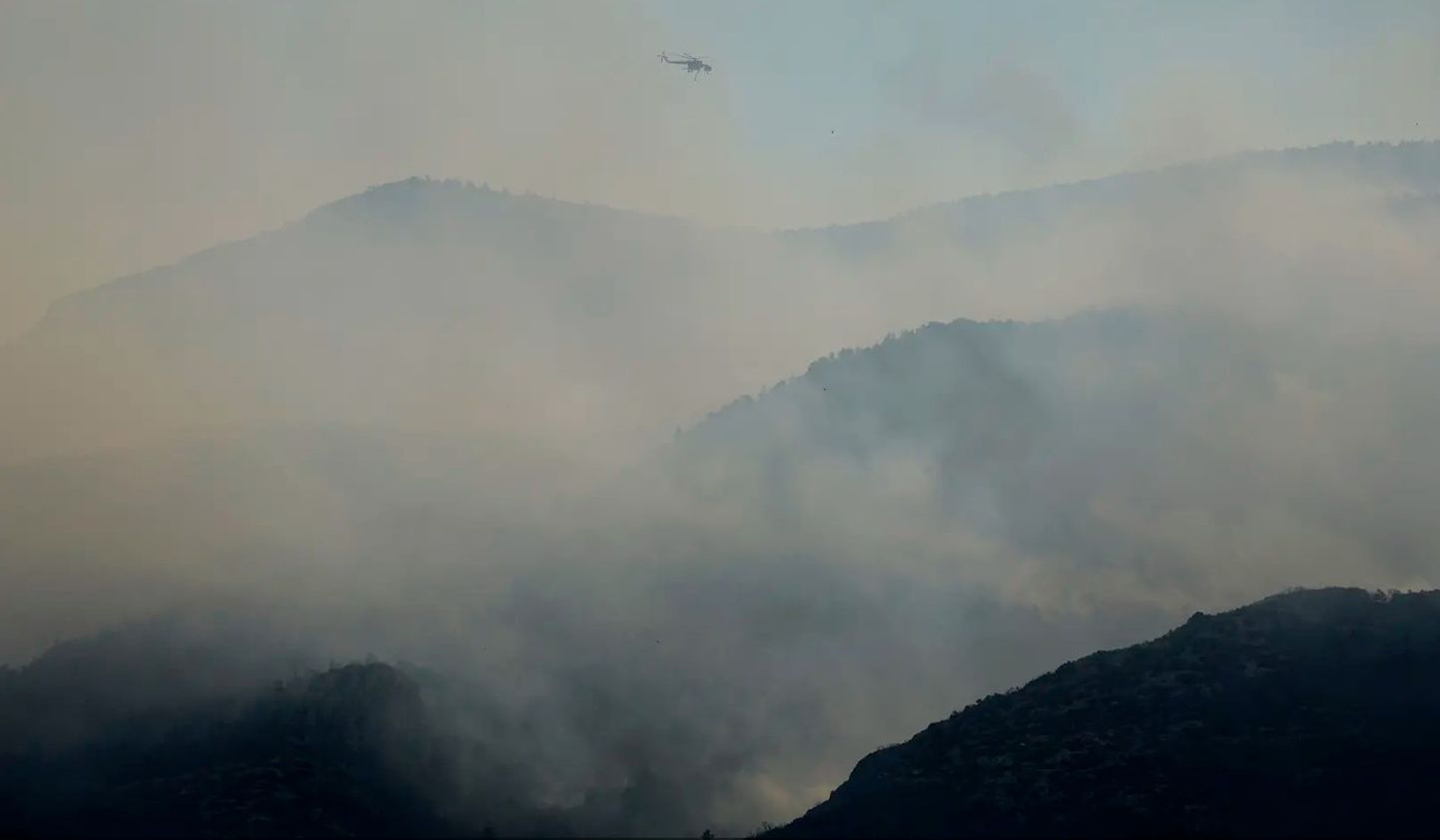 Лесной пожар в Греции.