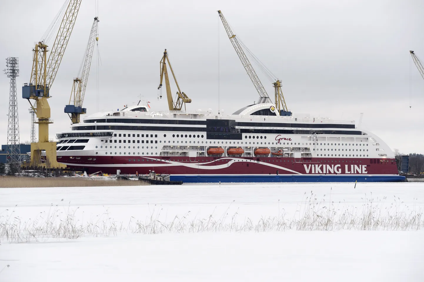 Viking Grace.