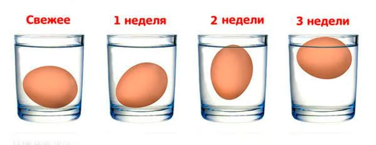Фото статьи