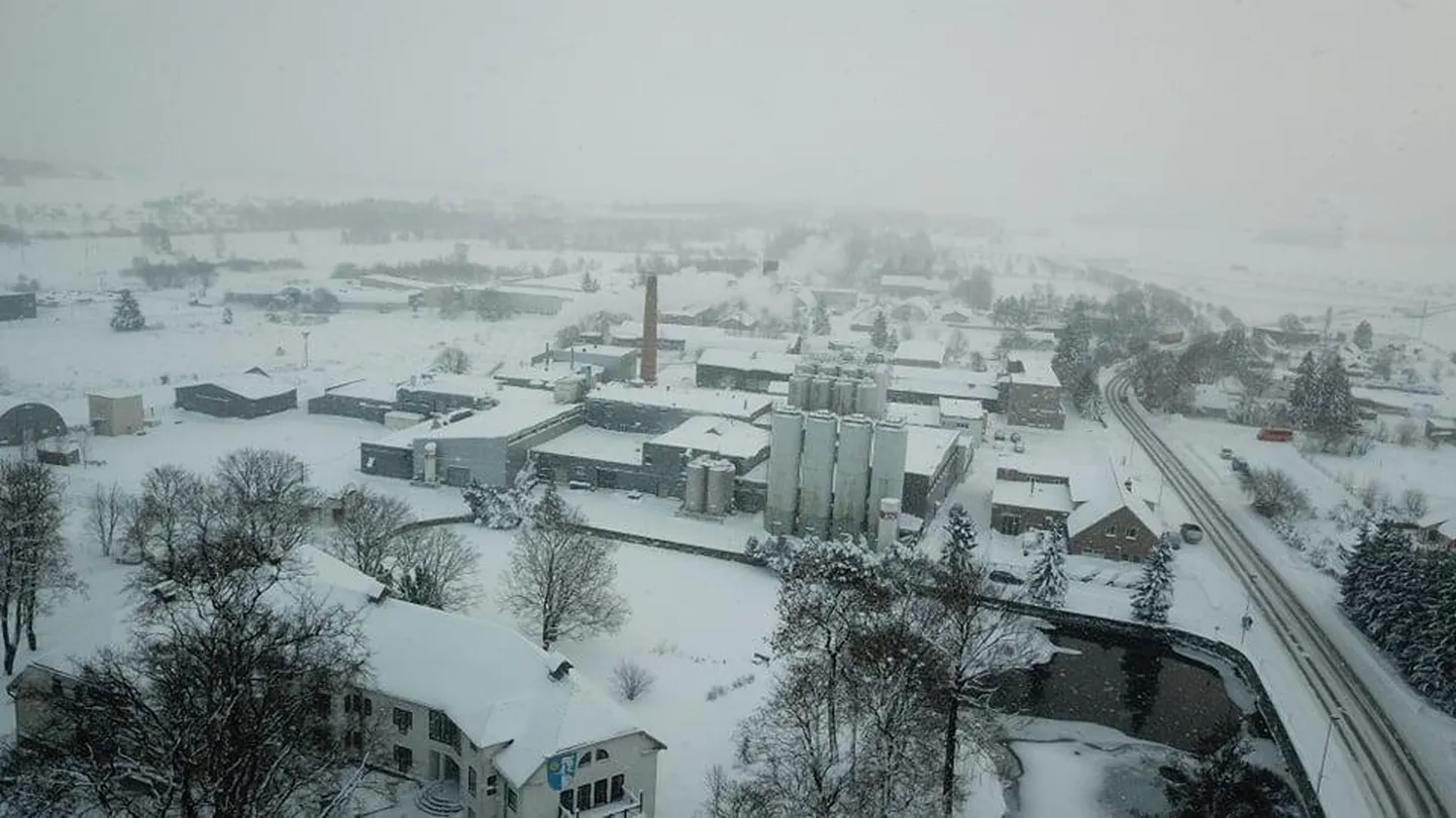 Endine Viru õlletehas Haljala alevikus kuulub nüüdsest Soome ettevõttele Pyynikin Brewing Company, kes jätkab Lääne-Virumaal muu hulgas õllemärjukese tootmist.