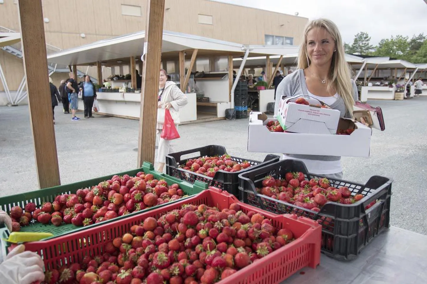 Kondiiter Airi Põdra hinnagul on maasikate hind õiglaselt kallis ja see ei takista marjade sügavkülma varumist.