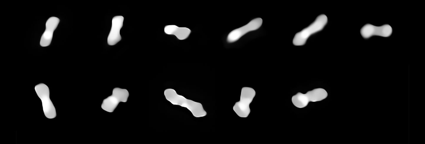 Euroopa lõunaobservatooriumi tehtud fotode põhjal koostatud suur foto, millel on näha asteroidi 216 Kleopatra erinevate nurkade alt. Teadlaste sõnul meenutab see planetoid koerakonti