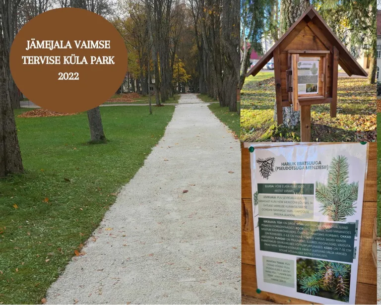 Jämejala vaimse tervise küla park. Kollaaž