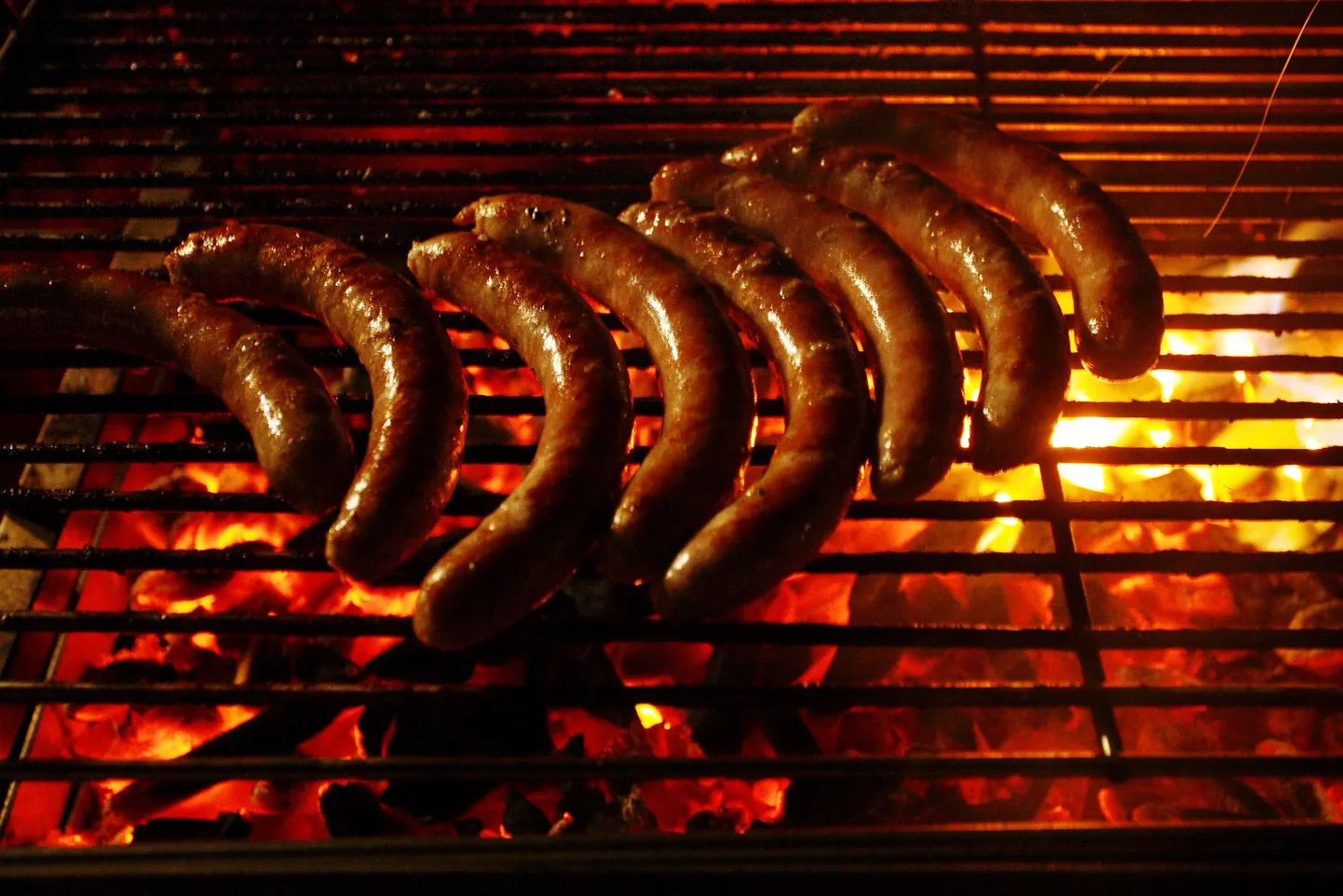 Grill