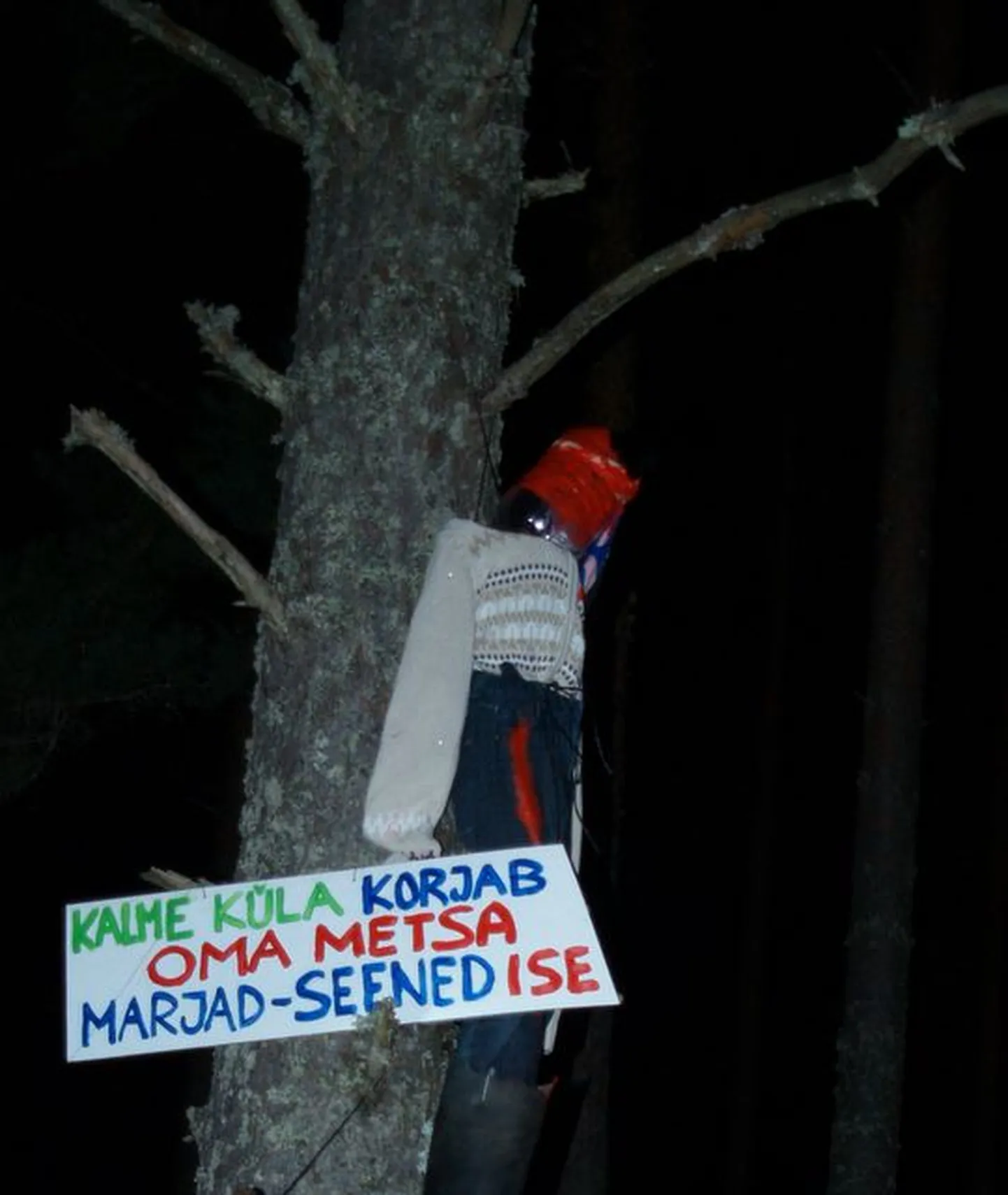 Üks paljudest puu otsa riputatud «surnud marjulistest».