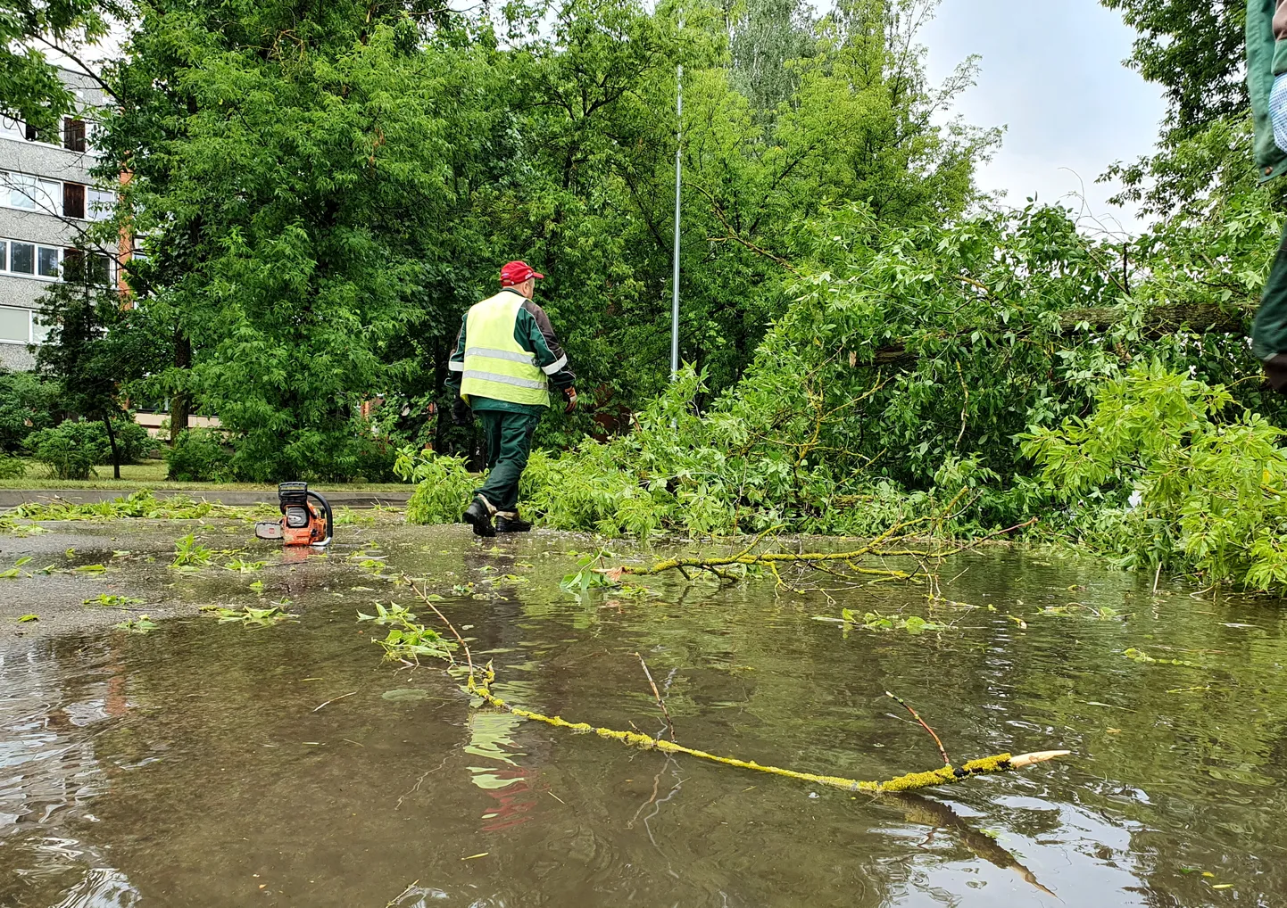 Negaisa laikā izgāzti un nolauzti koki Daugavpilī.