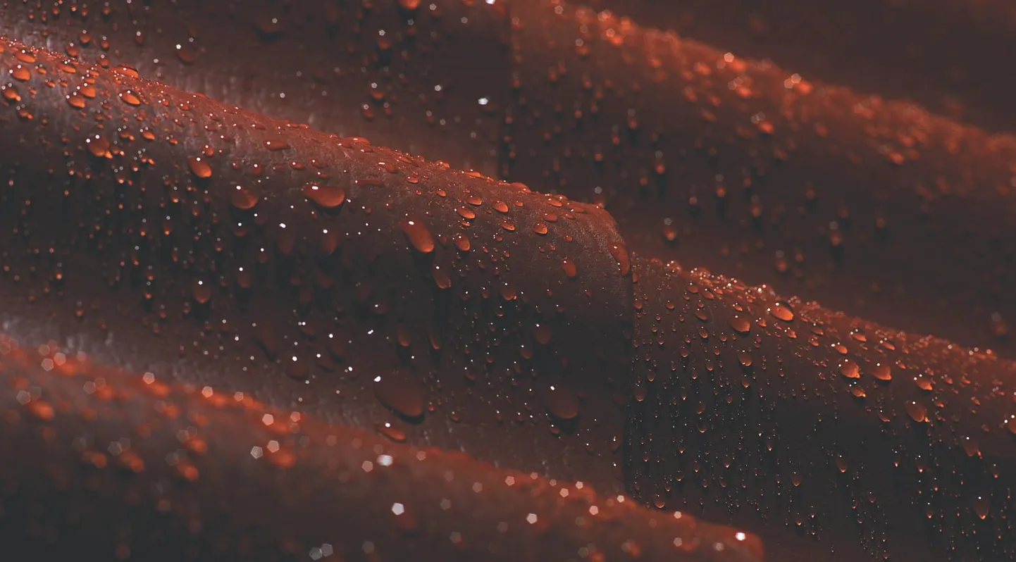 Фото статьи