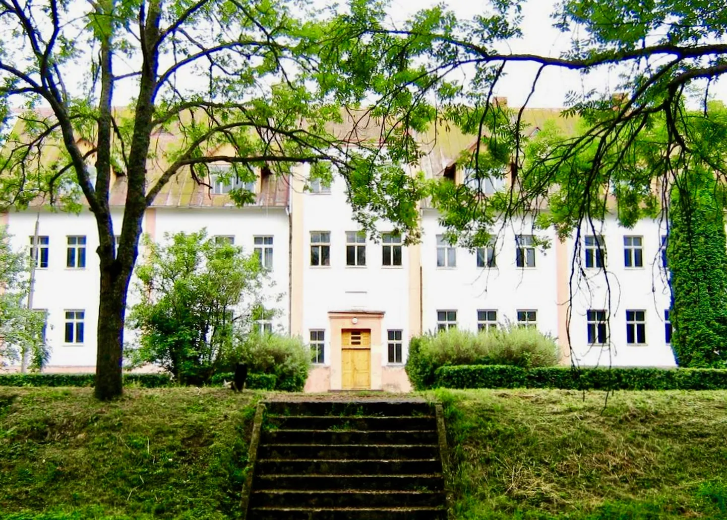 Raksta foto