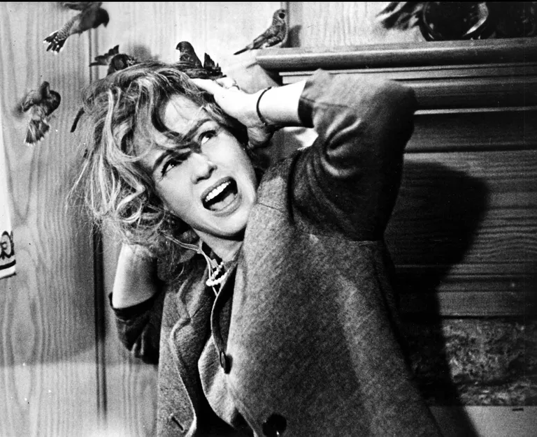 Kaader filmist «Linnud». Pildil Tippi Hedren
