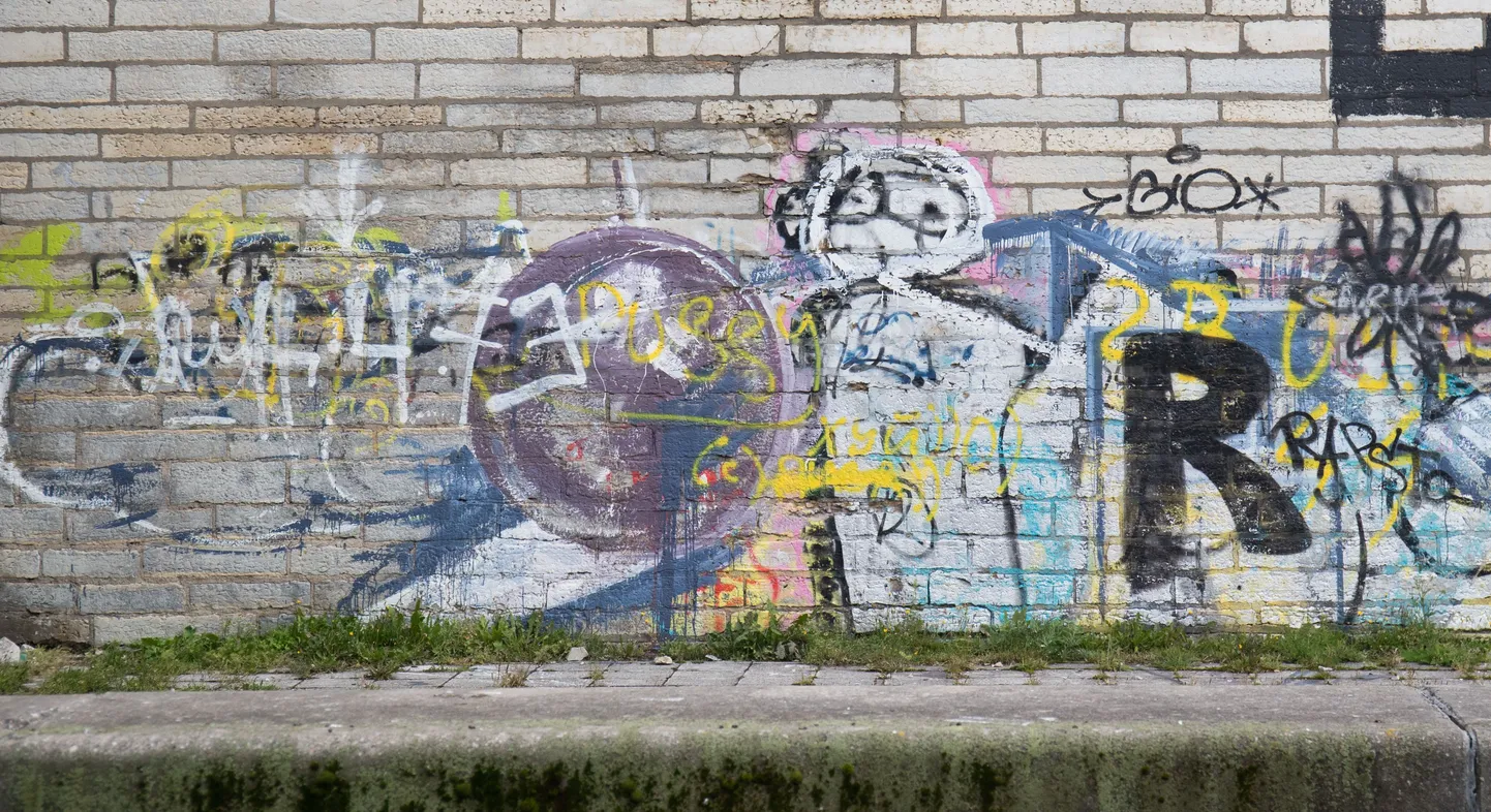 Фото статьи