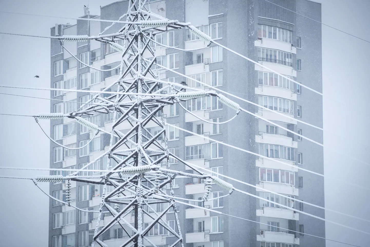 Elektri hinnatõusu kompenseerimiseks sai mõnedes omavalitsustes toetust hakata taotlema 10. jaanuaril.